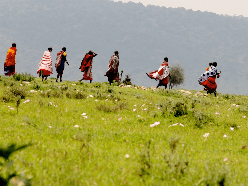 Global GreenGrants Fund
