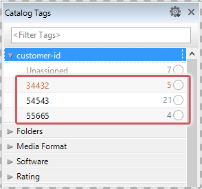 CustomTags-7a_ENG
