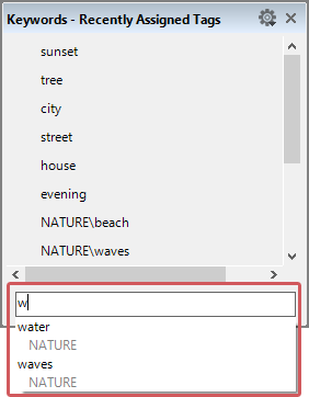 Quick search inthe "Recently Assigned Tags" dialog