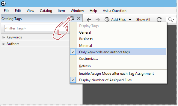 Working with View Presets in the Catalog Tags panel