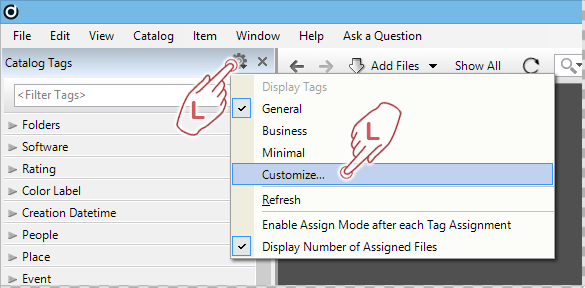 Customize Catalog Tags