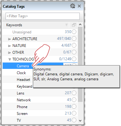 Balloon help showing all assigned synonyms
