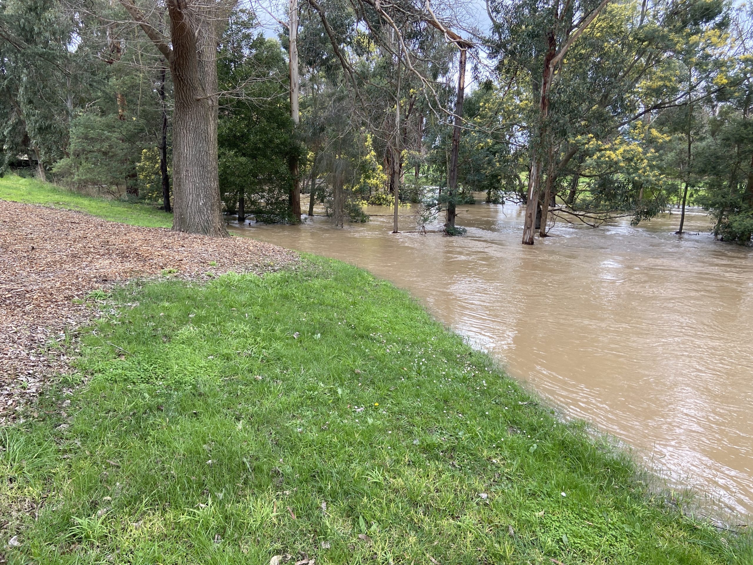 Rural-flooding_2-15-Aug-2022-Baw-Baw-SES