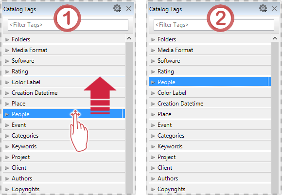 Manually tags sorting in the Catalog Tags Panel