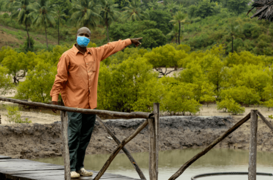 Global Greengrants Fund